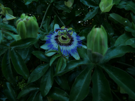 P1000689