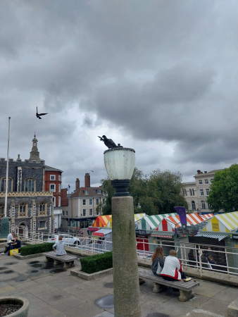 pigeon on post pigeon on post