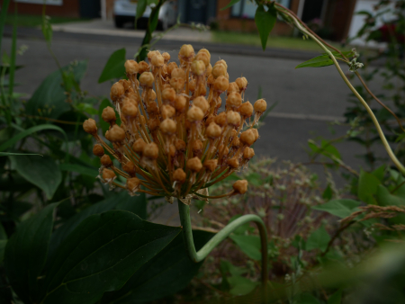 P1010210