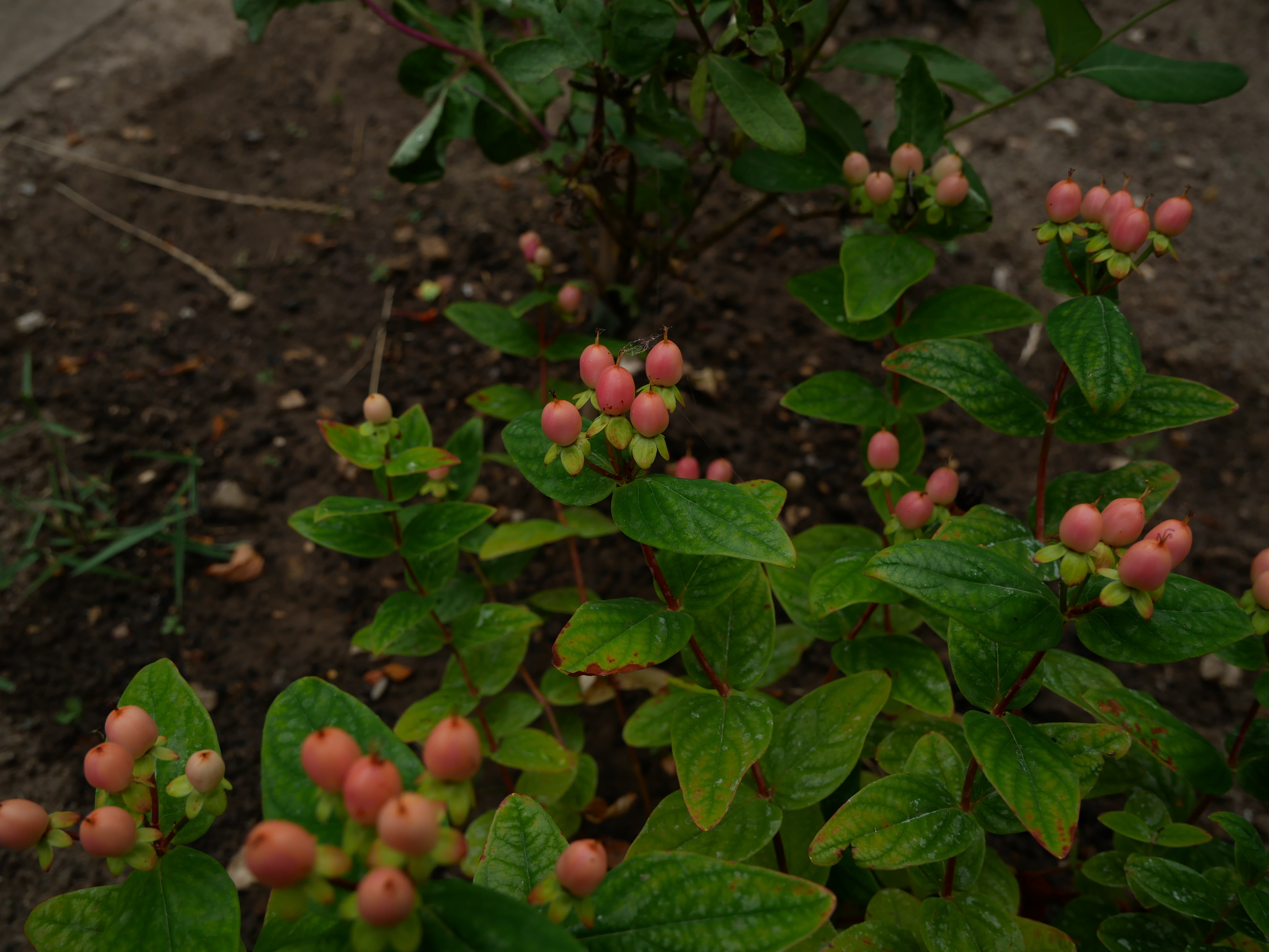 P1010289.JPG